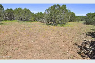 9184C Chimisa Ranch Rd, Show Low, AZ 85901 - Photo 9