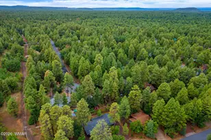 6092 Pitch Fork Ln, Pinetop, AZ 85935 - Photo 29