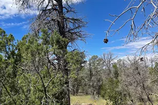 0001 Jeep Trail, Overgaard, AZ 85933 - Photo 1
