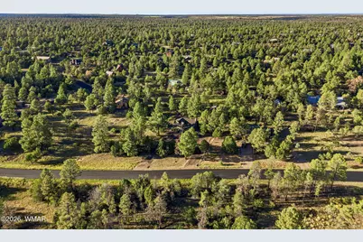 2224 Meadow Trail, Overgaard, AZ 85933 - Photo 39