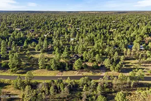 2224 Meadow Trail, Overgaard, AZ 85933 - Photo 39