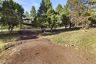 2224 Meadow Trail, Overgaard, AZ 85933 - Photo 37