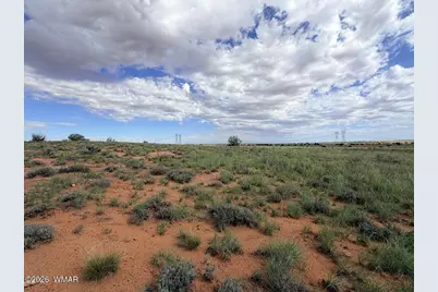 8017 Johnson Hill Trail, Snowflake, AZ 85937 - Photo 17