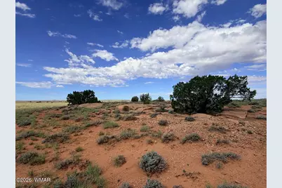 8017 Johnson Hill Trail, Snowflake, AZ 85937 - Photo 15