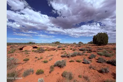 8017 Johnson Hill Trail, Snowflake, AZ 85937 - Photo 5