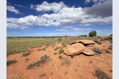 8017 Johnson Hill Trail, Snowflake, AZ 85937 - Photo 3