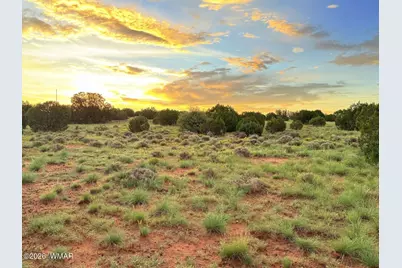 0 County Road 8623, Concho, AZ 85924 - Photo 5