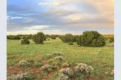 0 County Road 8623, Concho, AZ 85924 - Photo 21