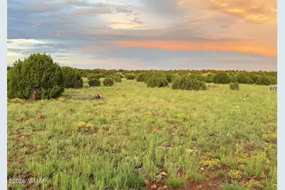 0 County Road 8623, Concho, AZ 85924 - Photo 15