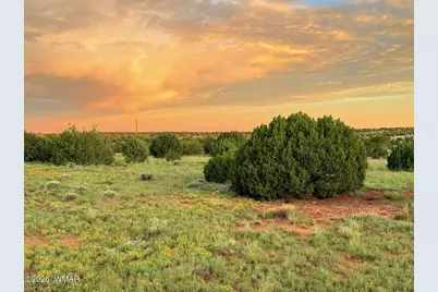 0 County Road 8623, Concho, AZ 85924 - Photo 23