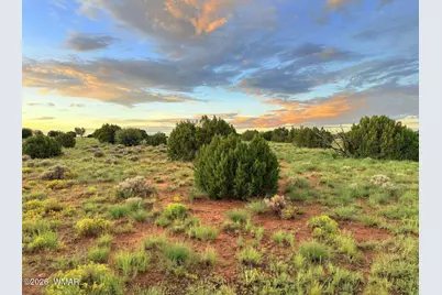 0 County Road 8623, Concho, AZ 85924 - Photo 17