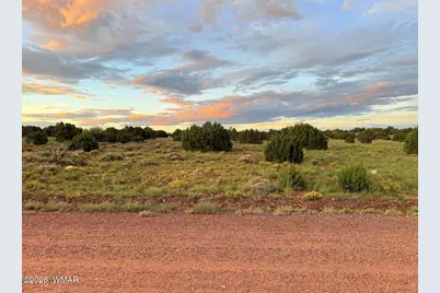 0 County Road 8623, Concho, AZ 85924 - Photo 13