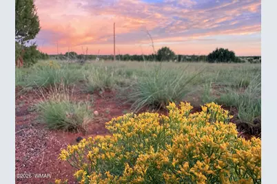 0 County Road 8623, Concho, AZ 85924 - Photo 11