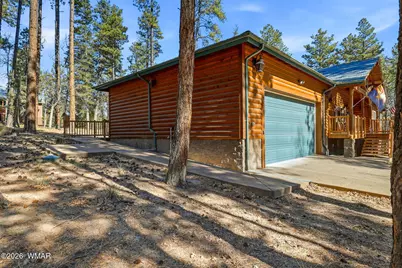 3 Cr, Alpine, AZ 85920 - Photo 3