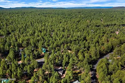3233 Turkey Track Road, Pinetop, AZ 85935 - Photo 27