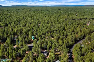 3233 Turkey Track Rd, Pinetop, AZ 85935 - Photo 27