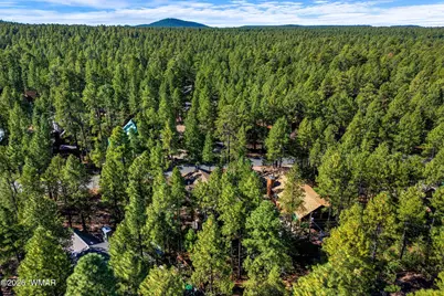 3233 Turkey Track Road, Pinetop, AZ 85935 - Photo 31