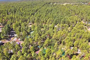 484 Lilly Dr, Lakeside, AZ 85929 - Photo 37