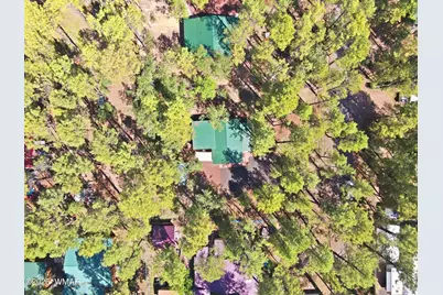 484 Lilly Drive, Lakeside, AZ 85929 - Photo 35