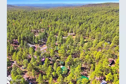 484 Lilly Drive, Lakeside, AZ 85929 - Photo 3