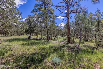 4807 Deer Valley, Lakeside, AZ 85929 - Photo 35