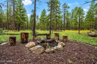 10 Acr, Greer, AZ 85927 - Photo 3