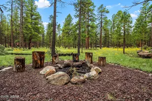10 Acr, Greer, AZ 85927 - Photo 3