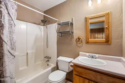 10 Acr, Greer, AZ 85927 - Photo 17
