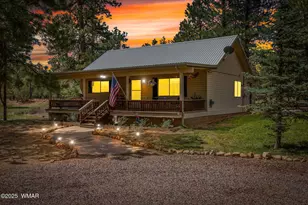 2840 Pine Rim Rd, Overgaard, AZ 85933 - Photo 5