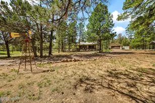2840 Pine Rim Rd, Overgaard, AZ 85933 - Photo 33