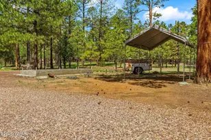 2840 Pine Rim Rd, Overgaard, AZ 85933 - Photo 35