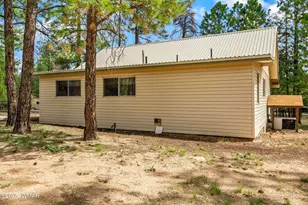 2840 Pine Rim Rd, Overgaard, AZ 85933 - Photo 31