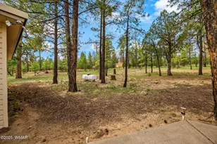 2840 Pine Rim Rd, Overgaard, AZ 85933 - Photo 29