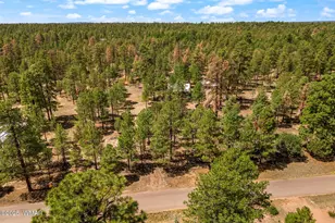 2840 Pine Rim Rd, Overgaard, AZ 85933 - Photo 37
