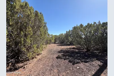Lot 200 County Road 3189, Vernon, AZ 85940 - Photo 5