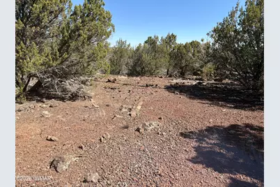 Lot 200 County Road 3189, Vernon, AZ 85940 - Photo 3