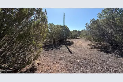 Lot 200 County Road 3189, Vernon, AZ 85940 - Photo 7