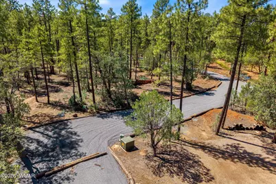 21249-040E Vallery Lane, Lakeside, AZ 85929 - Photo 3