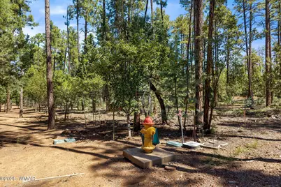 21249-040E Vallery Lane, Lakeside, AZ 85929 - Photo 9