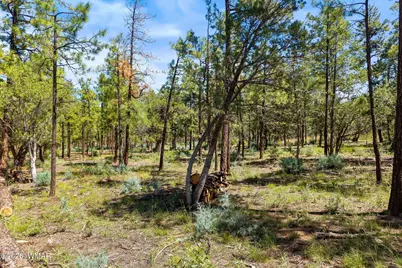 21249-040E Vallery Lane, Lakeside, AZ 85929 - Photo 5