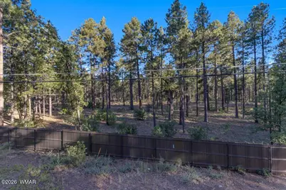4273 Branding Iron Loop, Pinetop, AZ 85935 - Photo 93