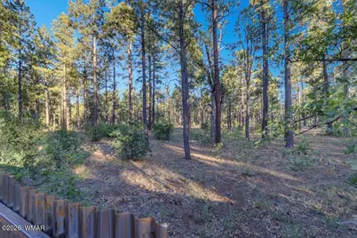 4273 Branding Iron Loop, Pinetop, AZ 85935 - Photo 105