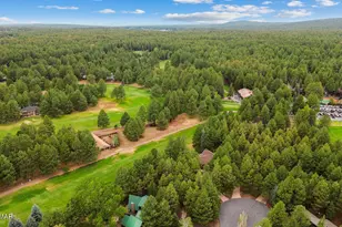 3162 Viking Trail, Pinetop, AZ 85935 - Photo 77
