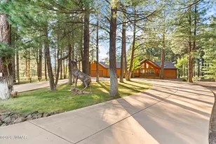 3162 Viking Trail, Pinetop, AZ 85935 - Photo 47