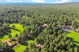 3162 Viking Trail, Pinetop, AZ 85935 - Photo 65