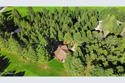3162 Viking Trail, Pinetop, AZ 85935 - Photo 63