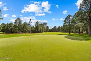 3162 Viking Trail, Pinetop, AZ 85935 - Photo 73
