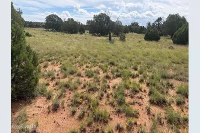 86 N5535 Road, Concho, AZ 85924 - Photo 13