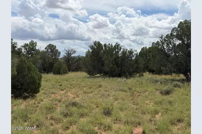 86 N5535 Road, Concho, AZ 85924 - Photo 5