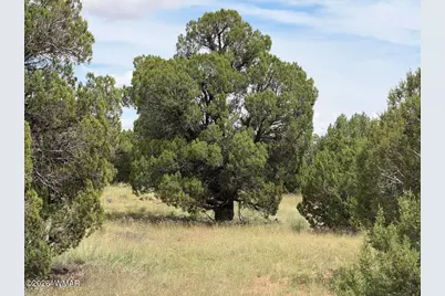 86 N5535 Road, Concho, AZ 85924 - Photo 1